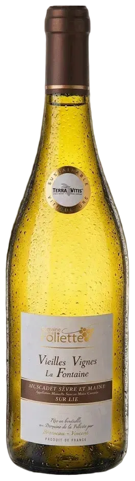 Domaine de la Foliette · Muscadet Sèvre et Maine sur lie Alte Reben 2025
